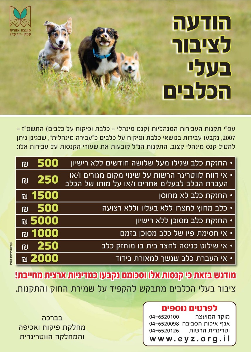 הודעה לבעלי ציבור הכלבים